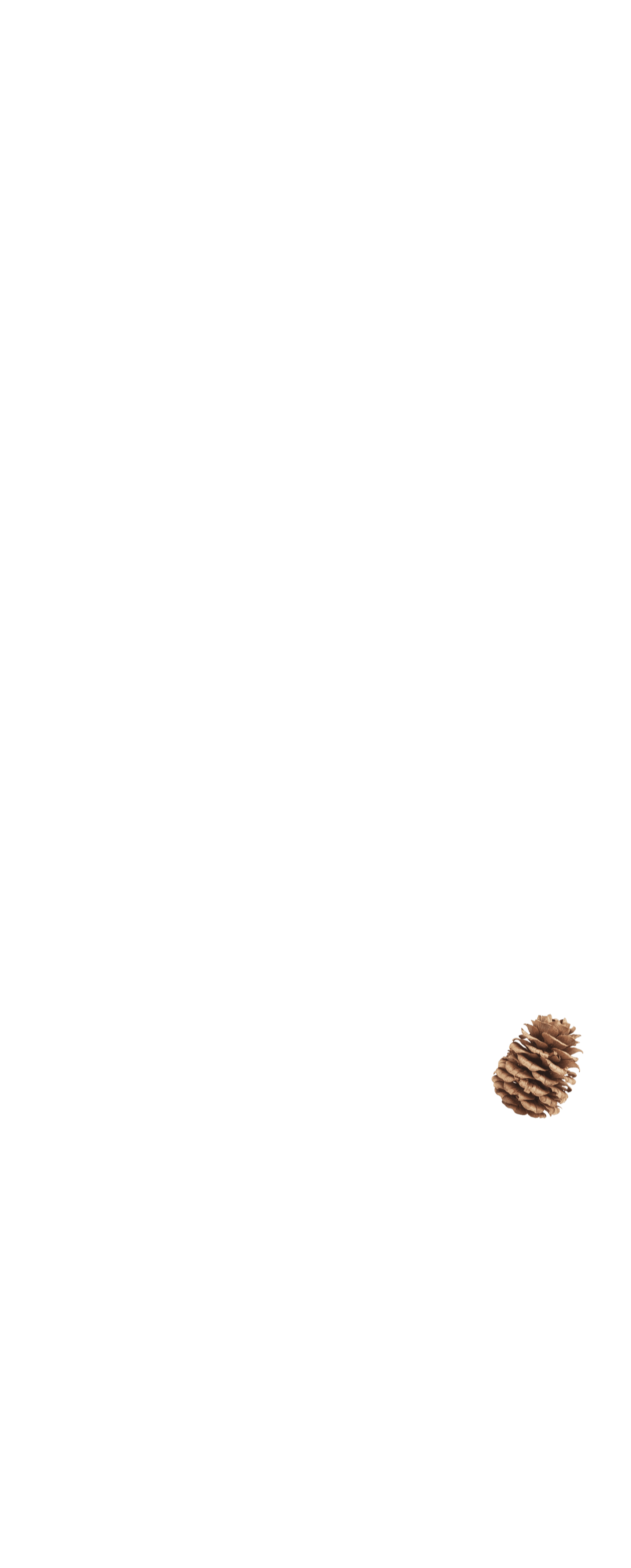 fullscreen_siska2.png