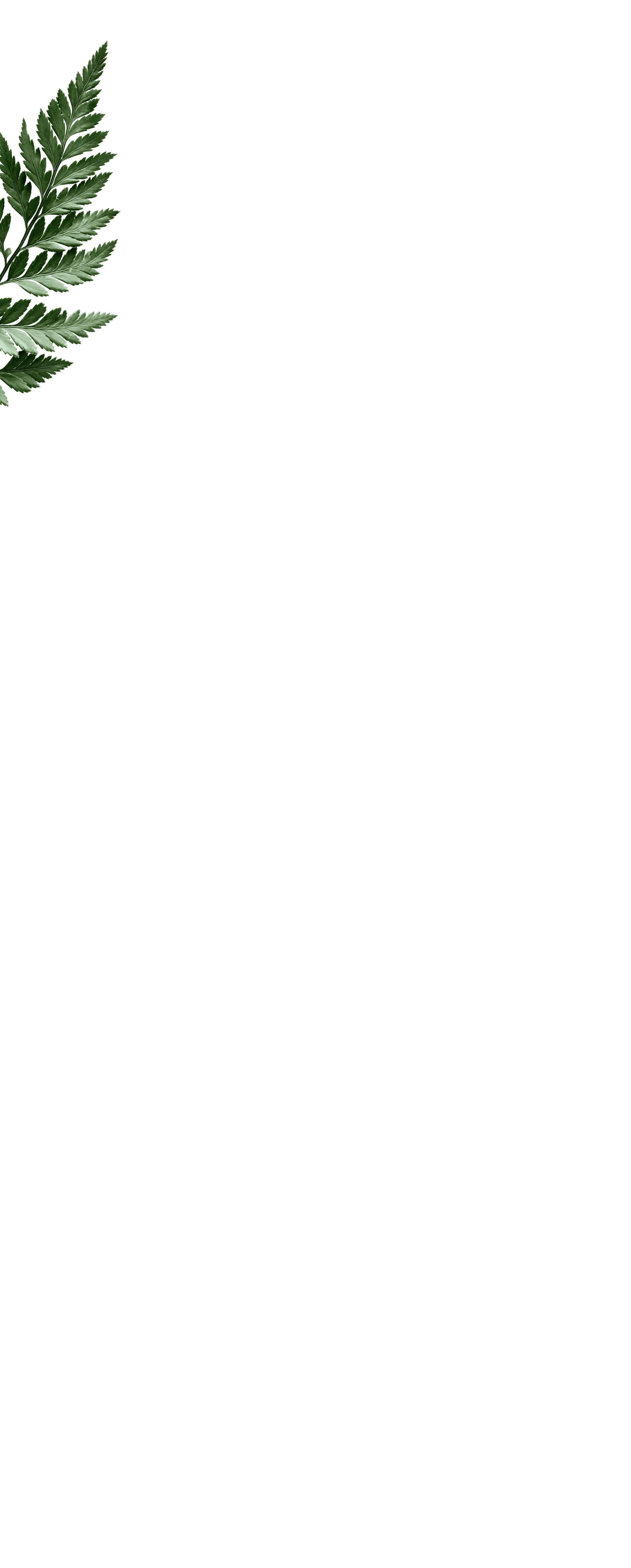 fullscreen_kapradina1.png