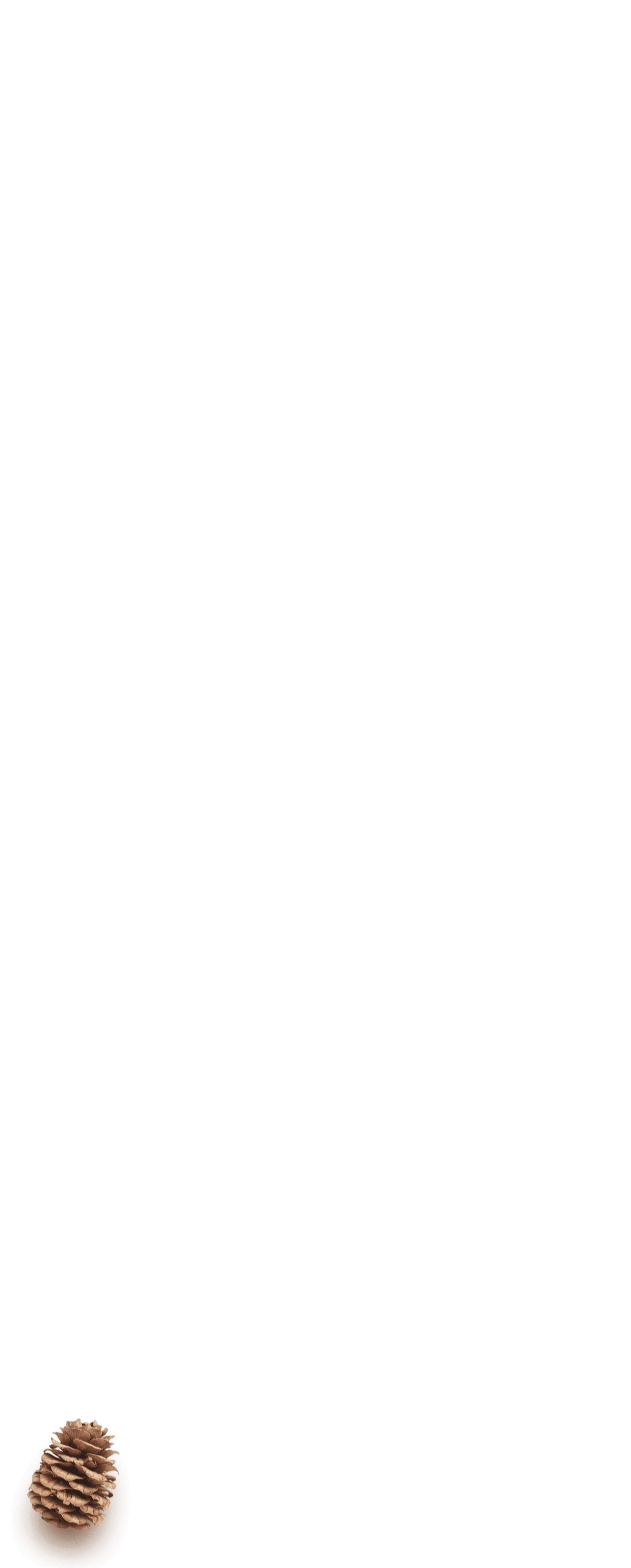 fullscreen_siska3.png