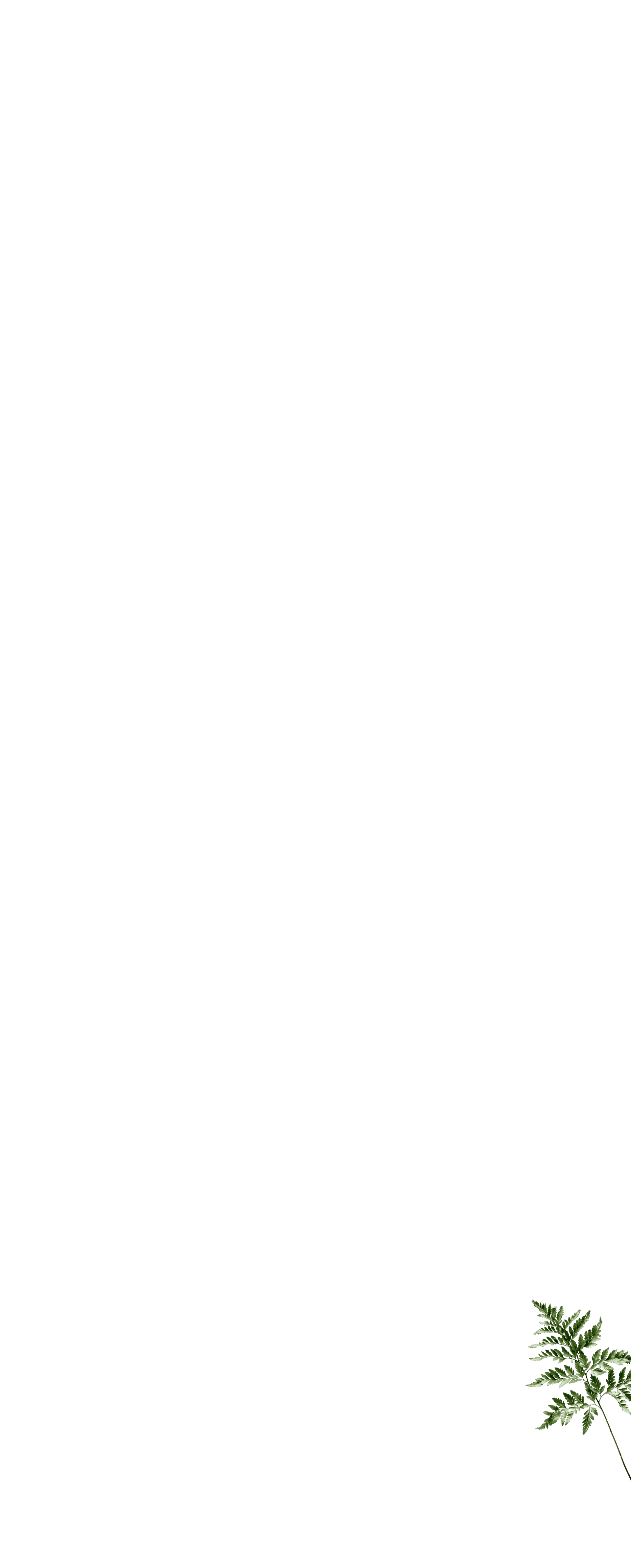 fullscreen_kapradina3.png