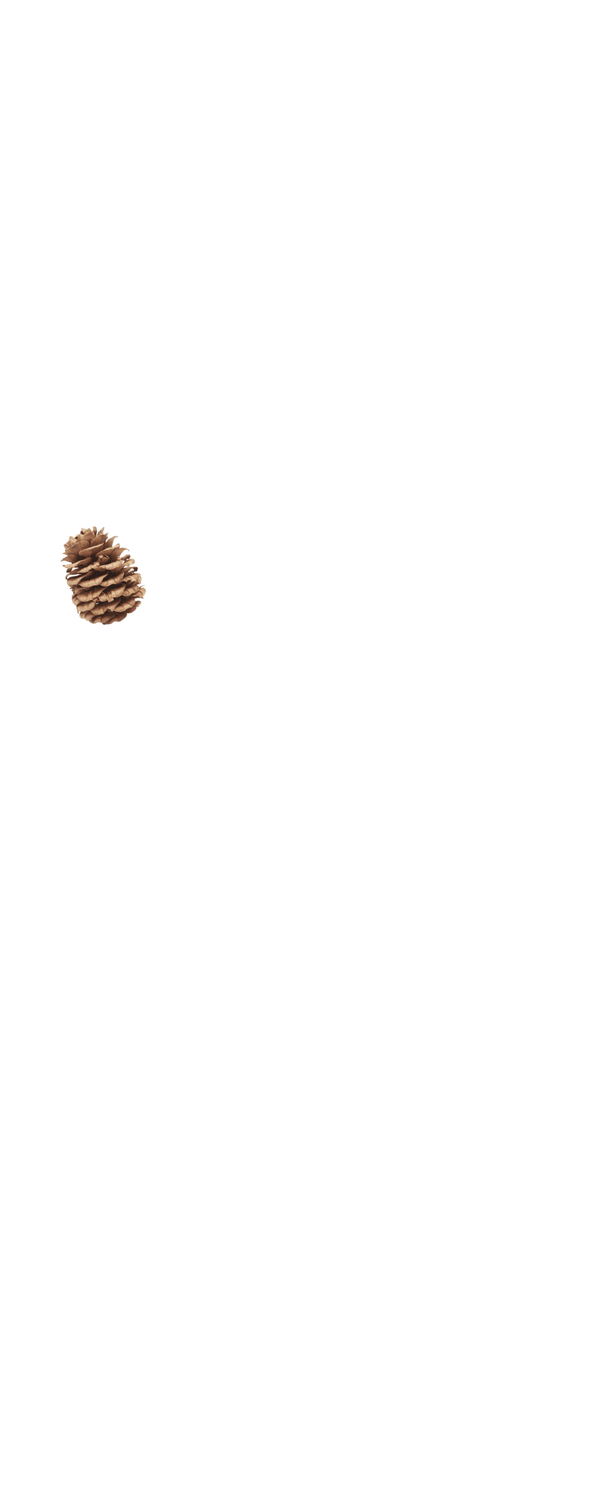 fullscreen_siska1.png