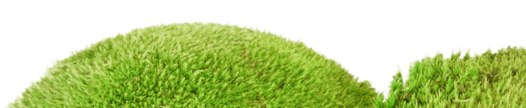 moss.png